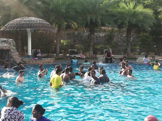 Turquoise swimming pool surrounded by tropical mango orchard trees